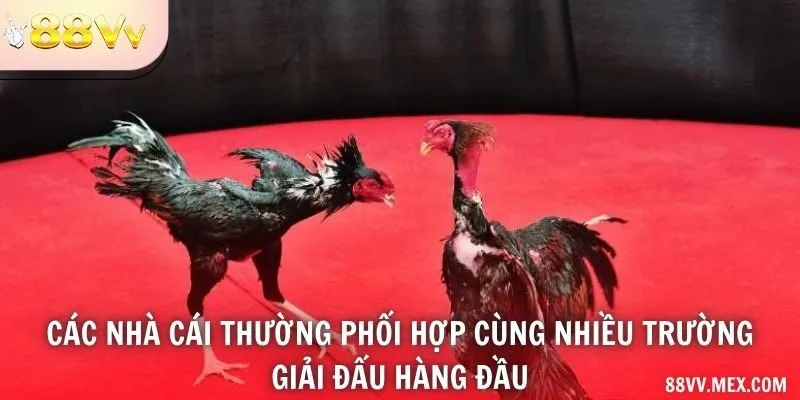 Nguồn nội dung và tên giải