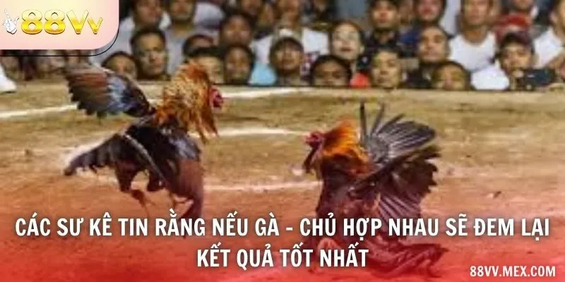 Cách gán tuổi chủ và màu mạng