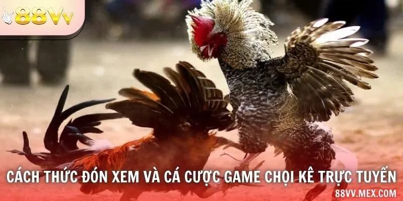 Trạng thái phát và kết quả hiển thị