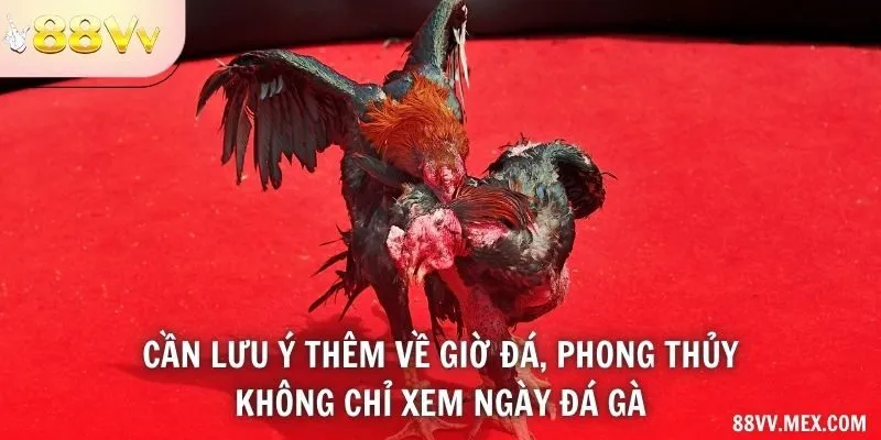 Ngày giờ và thông tin nguồn phát