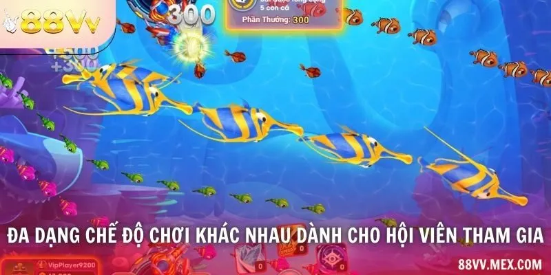 Mức bắn và luật từng phòng