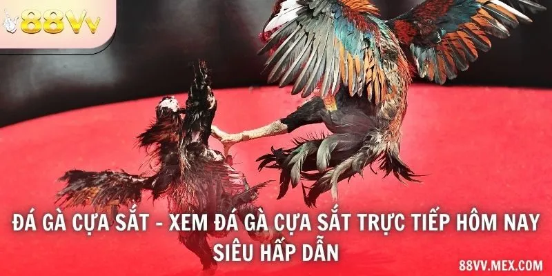 Tên hình thức và địa điểm nguồn phát