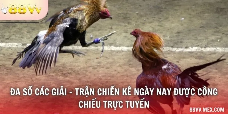 Nội dung live và video phát lại
