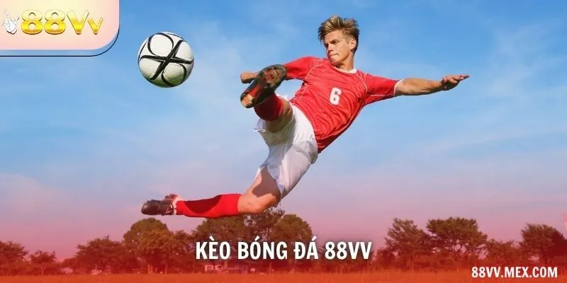 Kèo Bóng Đá 88VV – Cách Đọc Chấp, 1X2 Và Tài Xỉu