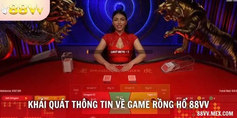 Hai vị trí Rồng và Hổ