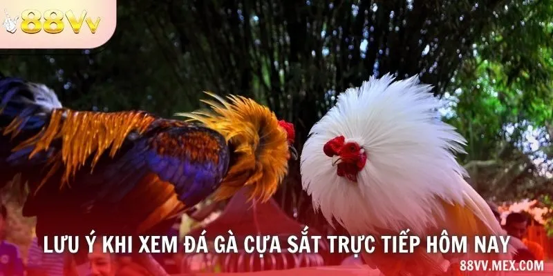 Thông tin truy cập nội dung trực tiếp