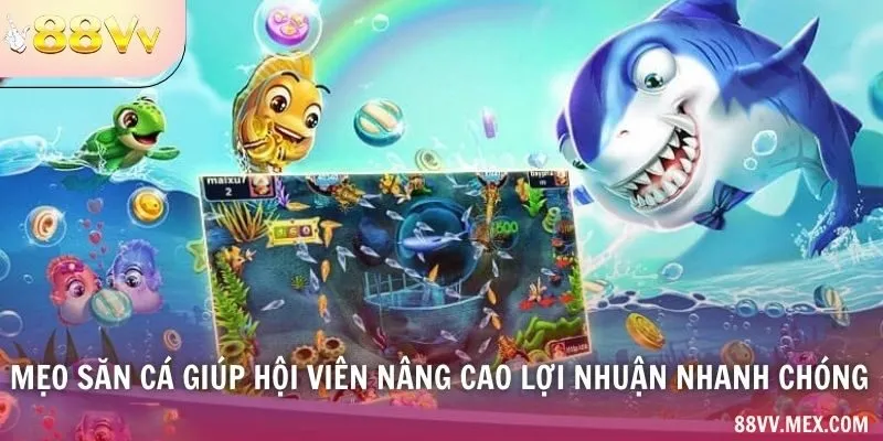 Thông Tin Của Lượt Chơi
