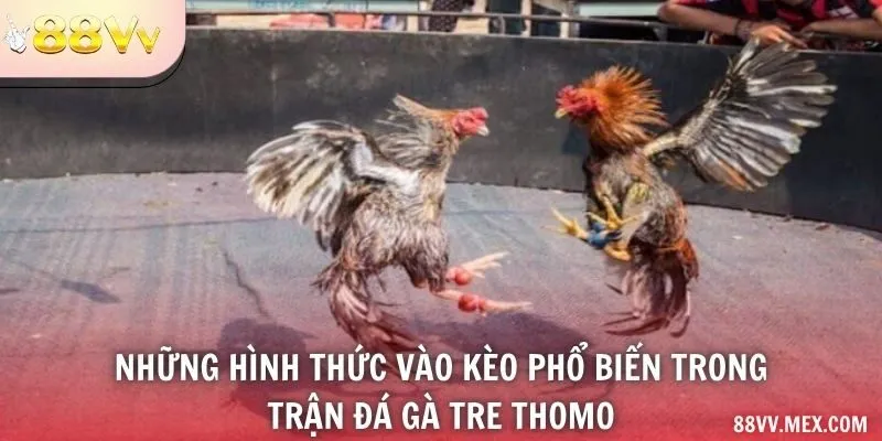 Các Nhãn Trên Bảng Thông Tin