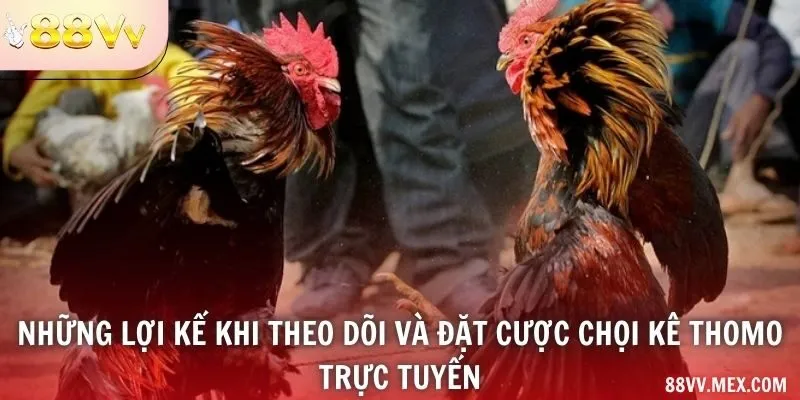 Thông Tin Khi Theo Dõi Trực Tuyến