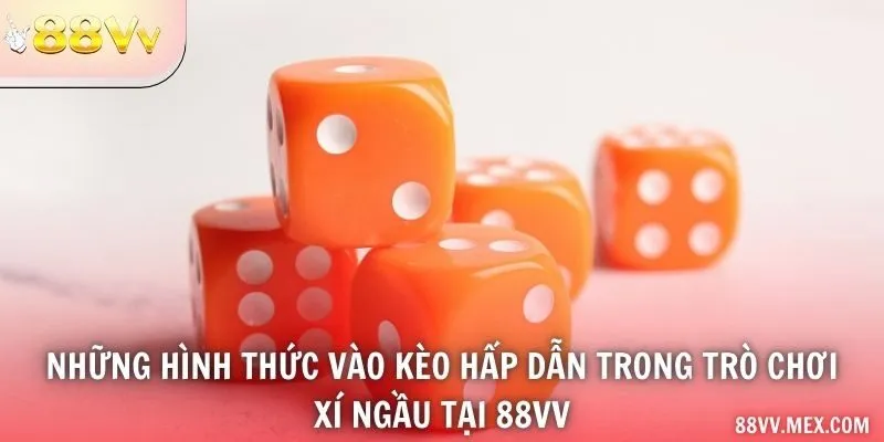 Các ô cược của bàn xí ngầu