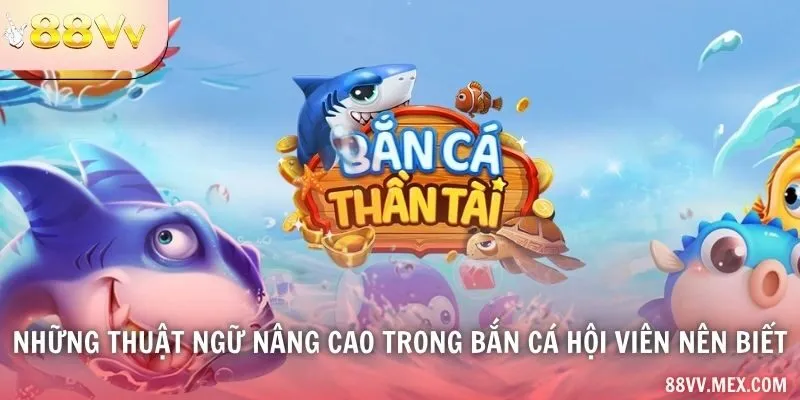 Nhóm thuật ngữ trong game bắn cá