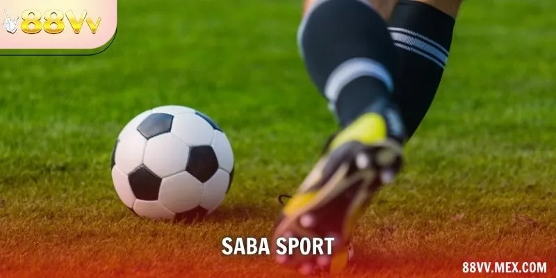 SABA Sport: Tìm Trận, Đọc Loại Kèo Và Đối Chiếu Dữ Liệu