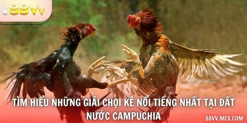Thông tin giải và lịch phát