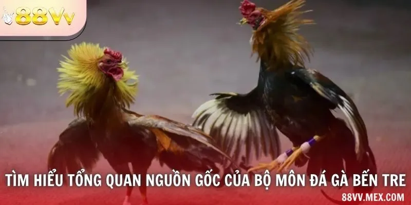 Địa danh Bến Tre và nguồn video