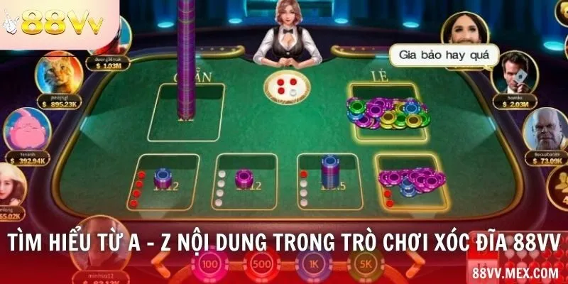 Mặt quân và các cửa xóc đĩa 88VV