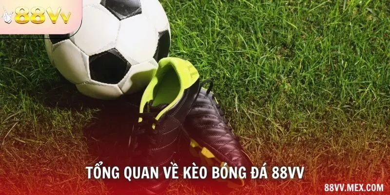 Các Nhóm Kèo Bóng Đá