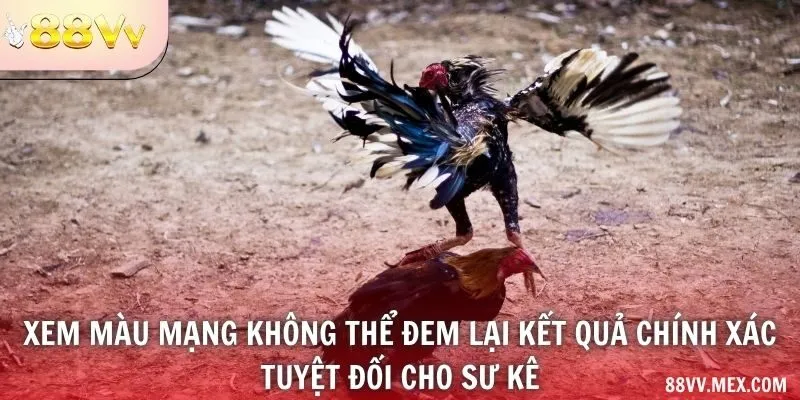 Màu lông và việc quan sát gà
