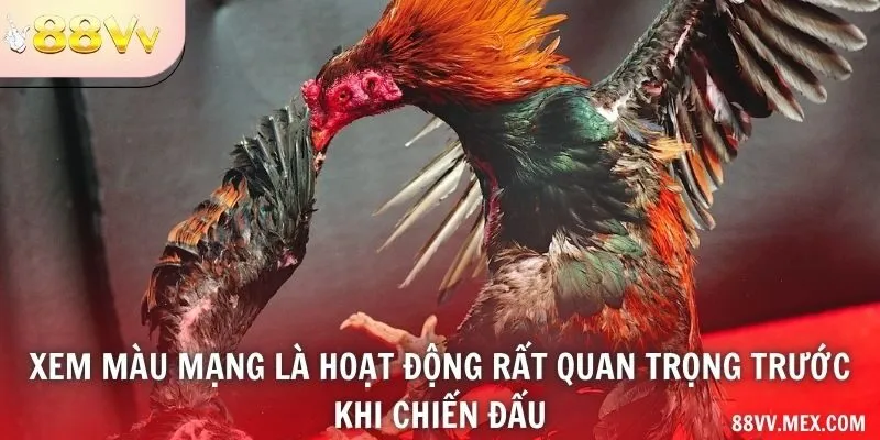 Cách gán màu lông theo ngũ hành